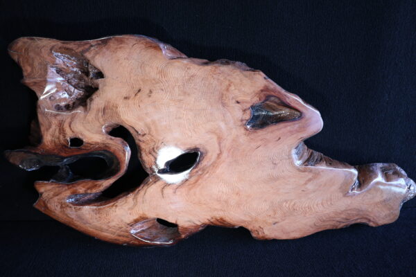 Spirit Current - Curtis Pieratt