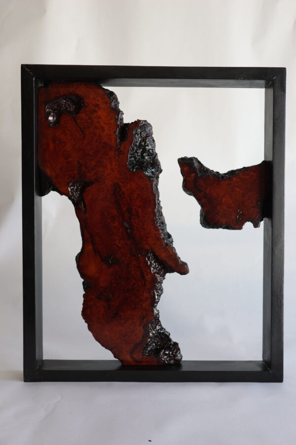 Framed Black Redwood Burl Triptych by Curtis Pieratt