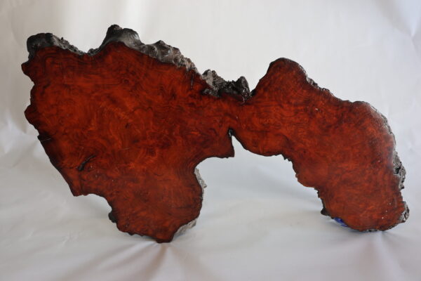 Red Earth Memory - Curtis Pieratt - Image 2