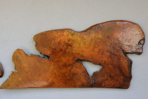 Dog Groomer - Curtis Pieratt - Image 2