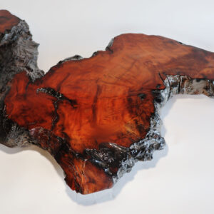 Wildwood Flame - Curtis Pieratt