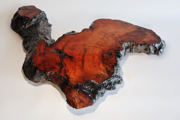 Wildwood Flame - Curtis Pieratt