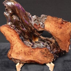 Tide and Timber - Curtis Pieratt