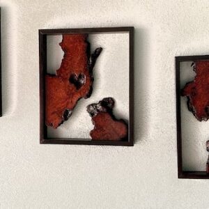 Framed Black Redwood Burl Triptych - Curtis Pieratt