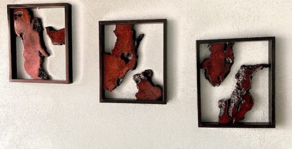 Framed Black Redwood Burl Triptych - Curtis Pieratt