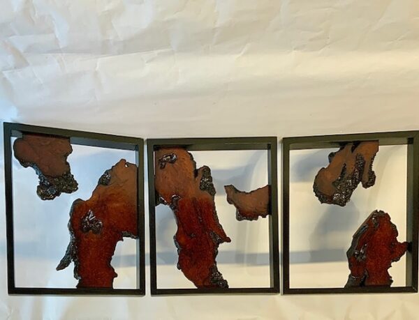 Framed Black Redwood Burl Triptych - Curtis Pieratt - Image 2